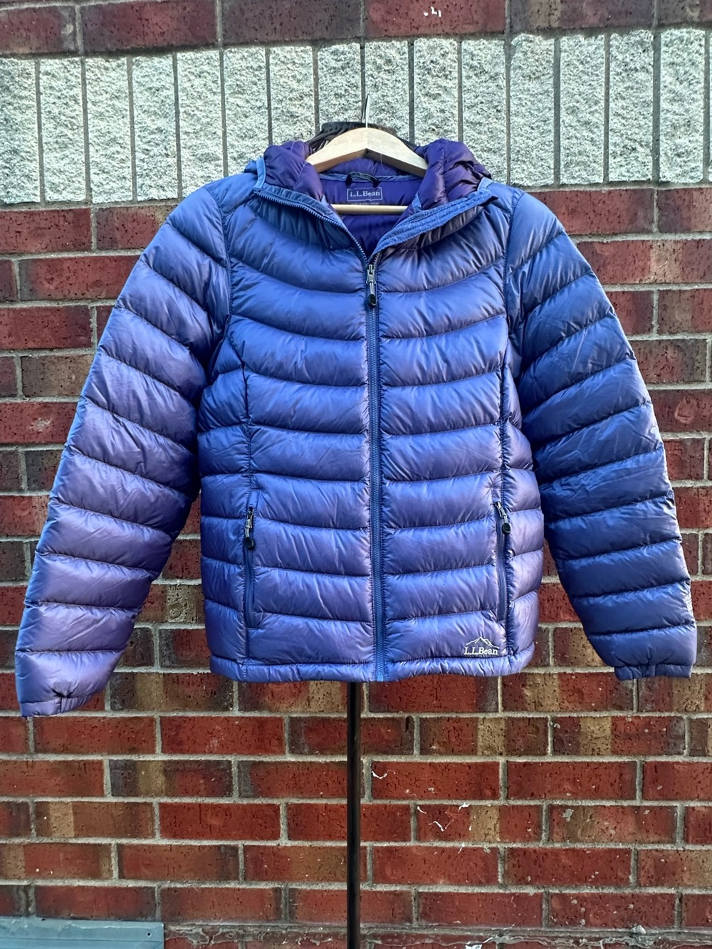 L.L. Bean 850 Goose Down Tech Puffer Downtek Pertex Quantum Jacket Lightweight - Picture 3 of 17